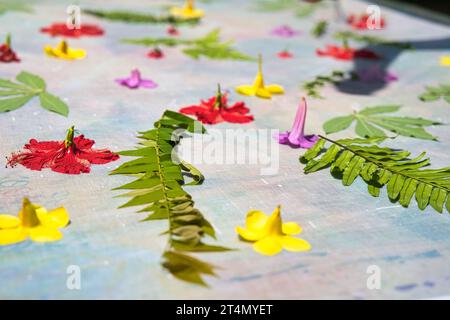 Feuilles et fleurs exposées sur tissu pour la fabrication de paréo sec au soleil, Mahé Seychelles Banque D'Images