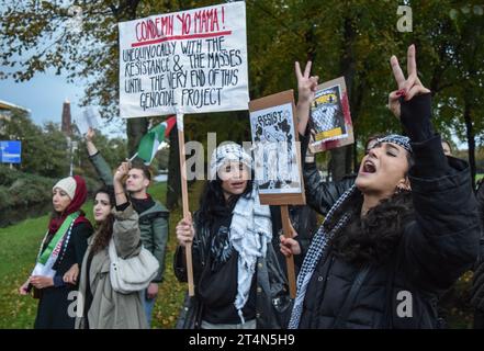 La Haye, pays-Bas. 29 octobre 2023. Des milliers de personnes assistent à une manifestation de soutien aux Palestiniens à la Haye, aux pays-Bas, le 29 octobre 2023. (Photo de Mouneb Taim/INA photo Agency/Sipa USA) crédit : SIPA USA/Alamy Live News Banque D'Images