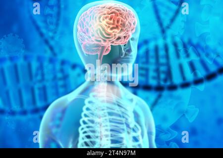 Anatomie du cerveau humain sur fond d'adn. Concept d'étude génétique. illustration 3d. Banque D'Images