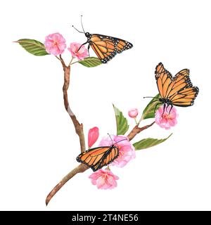 Illustrations à l'aquarelle dessinées à la main. Sakura branches avec des fleurs roses et des feuilles vertes et des papillons sur ceux-ci Banque D'Images