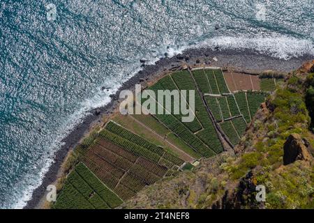 Vue de Cabo Girao, la plus haute falaise, Camara de Lobos, Madère, Portugal Banque D'Images