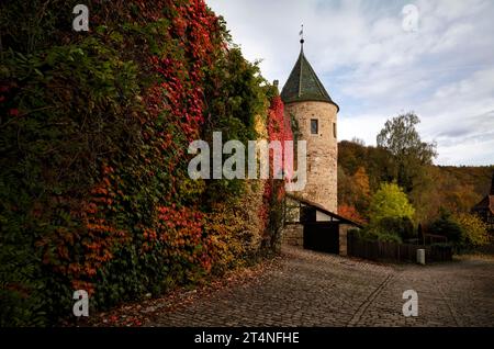 Tour verte, ancien donjon, feuilles de vigne de couleur automne sur le mur de la ville, monastère et palais de Bebenhausen, Bade-Wuerttemberg, Allemagne Banque D'Images