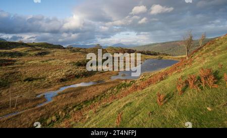 Route typique en fin d'été avec lac, Lake District National Park, Cumbria, Angleterre, Royaume-Uni Banque D'Images