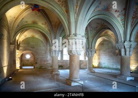 Vue intérieure, maison du chapitre, plafond avec fresques florales, monastère et palais de Bebenhausen, Bade-Wuerttemberg, Allemagne Banque D'Images