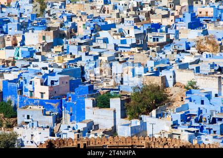 Jodhpur, Blue Painted Houses, Rajasthan, Inde Banque D'Images