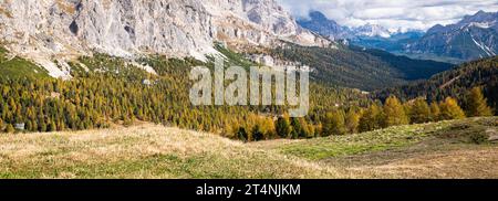 Vue majestueuse sur les pentes de montagne couvertes de mélèzes dans le feuillage d'automne Banque D'Images