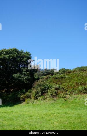 Myrtleberry South Iron Age Hill fort, parc national d'Exmoor, Devon, Angleterre, Royaume-Uni Banque D'Images