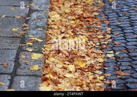 Wernigerode, Allemagne. 01 novembre 2023. Feuilles d'automne colorées se trouvent dans la rue dans le centre-ville de Wernigerode. Les prochains jours devraient rester doux, mais peu de perspective de soleil. Crédit : Matthias Bein/dpa/Alamy Live News Banque D'Images