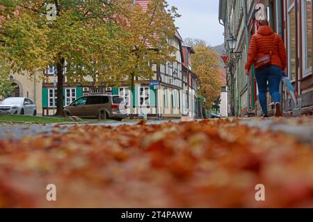 Wernigerode, Allemagne. 01 novembre 2023. Feuilles d'automne colorées se trouvent dans la rue dans le centre-ville de Wernigerode. Les prochains jours devraient rester doux, mais peu de perspective de soleil. Crédit : Matthias Bein/dpa/Alamy Live News Banque D'Images