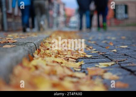 Wernigerode, Allemagne. 01 novembre 2023. Feuilles d'automne colorées se trouvent dans la rue dans le centre-ville de Wernigerode. Les prochains jours devraient rester doux, mais peu de perspective de soleil. Crédit : Matthias Bein/dpa/Alamy Live News Banque D'Images