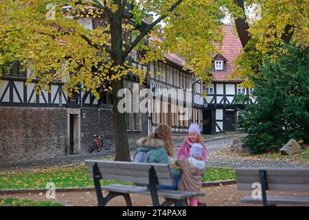 Wernigerode, Allemagne. 01 novembre 2023. Les feuilles sur les tilleuls dans le centre-ville de Wernigerode brillent dans les couleurs automnales. Les prochains jours sont censés rester doux, mais avec peu de perspective d'ensoleillement. Crédit : Matthias Bein/dpa/Alamy Live News Banque D'Images