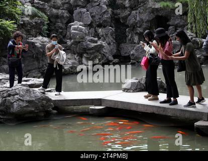 (231101) -- SHANGHAI, 1 novembre 2023 (Xinhua) -- cette photo prise le 12 octobre 2023 montre des gens prenant des photos de poissons koi au jardin Yuyuan dans l'est de la Chine, Shanghai. Le jardin Yuyuan, phare culturel de Shanghai, est le plus grand, le plus ancien et le mieux conservé jardin traditionnel de style chinois dans cette métropole de l'est de la Chine. Le jardin Yuyuan à Hambourg, imitant celui de Shanghai, présente également des pavillons de style chinois typique et des ponts en zigzag au-dessus des étangs, et sert de fenêtre pour montrer la culture chinoise traditionnelle depuis son ouverture au public en 2008. Yuyuan Garden ne l'est évidemment pas Banque D'Images