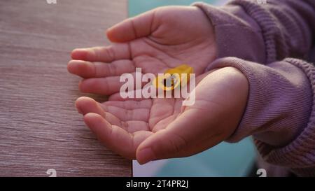 fleur jaune pétale dans la paume de la main Banque D'Images