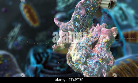 Organelles à l'intérieur de l'eucaryote, concentrez-vous sur les ribosomes - illustration 3d Banque D'Images