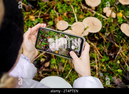 Vue rapprochée des mains de l'enfant tenant et prenant une photo de champignons avec smartphone. Concept d'application Mushroom Identify. Banque D'Images