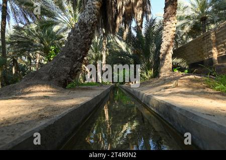 Canal d'irrigation à l'intérieur d'Alain dates ferme à Abu Dhabi Banque D'Images