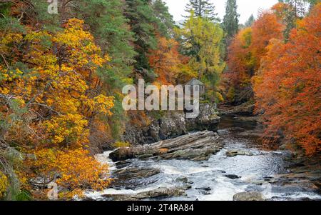 La vieille maison d'été à côté de la rivière Moriston tombe avec des couleurs d'automne dans les bois à Invermoriston, Écosse, Royaume-Uni Banque D'Images