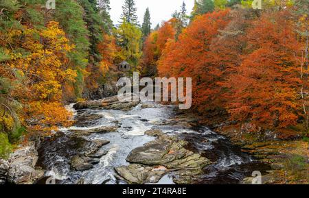 La vieille maison d'été à côté de la rivière Moriston tombe avec des couleurs d'automne dans les bois à Invermoriston, Écosse, Royaume-Uni Banque D'Images