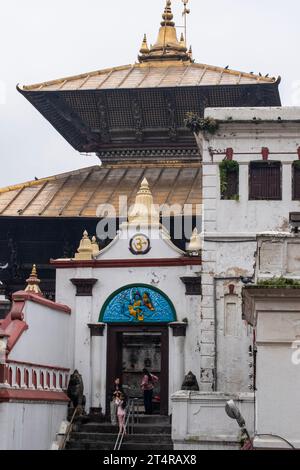 Katmandou, Népal : vue du temple Pashupatinath, célèbre temple hindou dédié à Pashupati, une forme de Shiva, le long des rives de la rivière sacrée Bagmati Banque D'Images