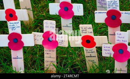 Le champ du souvenir du château de Cardiff marque la perte de vies humaines dans les guerres mondiales et autres conflits. Quelques petites croix avec des coquelicots rouges ont des messages et des photos Banque D'Images