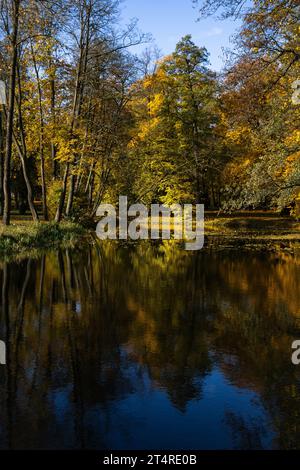 Belle nature et reflet de miroir.2.11.2023 Bialystok Pologne. L'heure d'automne et les couleurs d'automne se reflètent dans l'eau. Banque D'Images