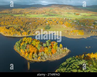 Vue aérienne de la petite île Tom Dubh avec des bois aux couleurs automnales sur le Loch Insh à River Spey, Kincraig, Scottish Highlands, Écosse, Royaume-Uni Banque D'Images