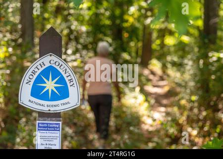 Middleville, Michigan - Un randonneur sur le North Country Trail dans la zone de loisirs de Yankee Springs. Le North Country Trail s'étend sur 4 800 km de Vermo Banque D'Images