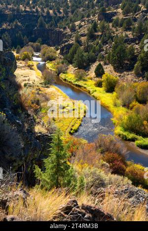 Donner und Blitzen Wild and Scenic River depuis le sentier de la rivière Blitzen, Steens Mountain Cooperative Management and protection Area, Oregon Banque D'Images