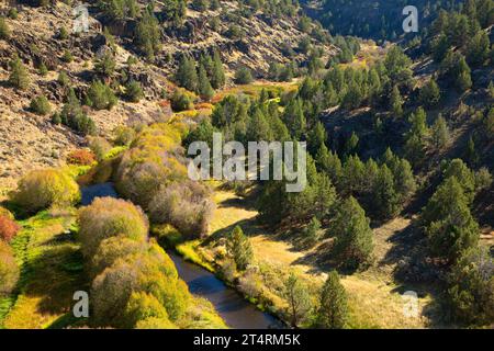 Donner und Blitzen Wild and Scenic River depuis le sentier de la rivière Blitzen, Steens Mountain Cooperative Management and protection Area, Oregon Banque D'Images