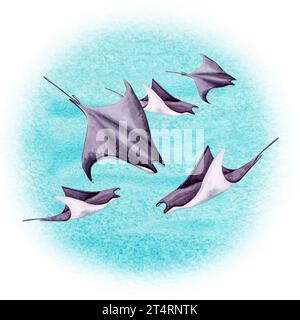 Un groupe de raies Manta animaux aquatiques de l'océan sur fond bleu turquoise. Illustration aquarelle dessinée à la main sur fond blanc Banque D'Images