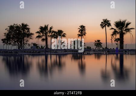 Palmiers argoutés contre un coucher de soleil orange, reflété dans une eau très calme, sur Tenerife, Espagne Banque D'Images