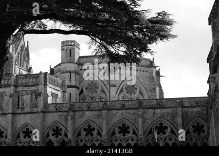 Magna carter Chapter House cloîtres de la cathédrale de Salisbury et if Banque D'Images
