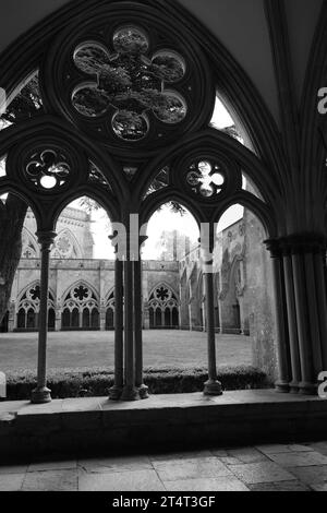 Magna carter Chapter House cloîtres de la cathédrale de Salisbury et if Banque D'Images