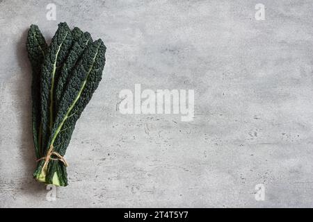 Feuilles fraîches de chou noir toscan ou cavolo nero ou lacinato kale sur un fond gris texturé Banque D'Images