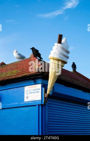 birds crows seagull assis sur le dessus du vendeur de crème glacée saisonnier fermé à côté du grand cône modèle southsea portsmouth angleterre royaume-uni Banque D'Images