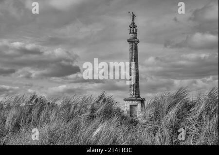 L'image est de la colonne commémorative du monument de l'amiral Lord Nelson Britannia de 41 mètres de haut. Banque D'Images