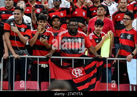 Brasília, DF - 01.11.2023 : CAMPEONATO BRASILEIRO FLAMENGO E SANTOS - ce mercredi (1) le match entre Flamengo et Santos a lieu dans le 31e tour du Championnat brésilien Arena BRB Mané Garrincha à Brasília. (Photo : ton Molina/Fotoarena) Banque D'Images