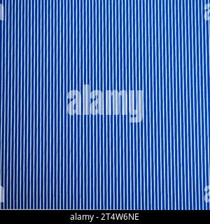 APPAREIL PHOTO NUMÉRIQUE OLYMPUS Banque D'Images
