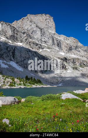 WY05569-00...WYOMING - Prairie le long de la rive du lac Upper Bear, au bord du pic Lizard Head, dans la région de Popo Agie Wilderness. Banque D'Images