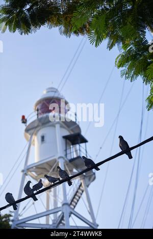 Pigeons contre ciel bleu avec fond de phare. Les oiseaux sont assis sur des fils. Banque D'Images