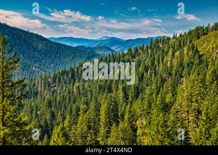 Montagnes Klamath, vue éloignée de Bear Camp Road, Forest Service Rd 23, près de la communauté de Galice, Rogue River Siskiyou National Forest, Oregon, USA Banque D'Images