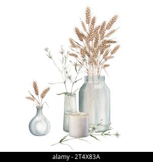 Épis de blé dans un vase en verre pot, bougie, fleurs blanches de forêt dans un vase en verre. Récolte d'automne. Clipart de prairie. Illustration de peinture à la main aquarelle Banque D'Images