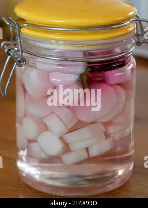 Un pot de radis Daikon blanc mariné maison prêt à manger, avec une tranche de betterave pour la couleur rose, piment pour la saveur, doux acidulé et goût acidulé Banque D'Images