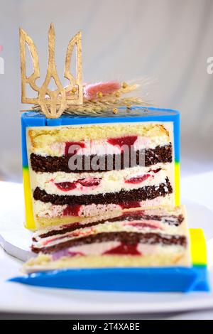 Délicieux gâteau éponge avec des épillets teints jaunes et bleus de blé et trident de l'Ukraine concept d'idée de cuisine de l'intégrité de l'amour de l'Ukraine pour le pays. patriotisme Banque D'Images