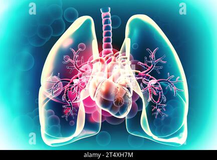 Coeur et poumons humains sur le fond médical. illustration 3d. Banque D'Images