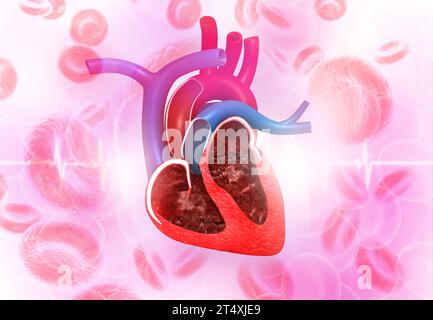 Coeur humain avec cardiogramme sur fond médical Banque D'Images