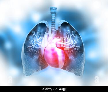 Poumons et coeur humains sur le fond médical abstrait. illustration 3d. Banque D'Images