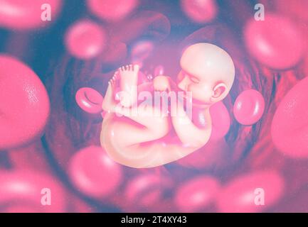 Foetus humain sur fond scientifique. illustration 3d. Banque D'Images