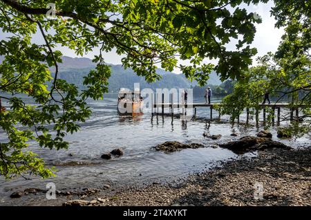 Lancement de bateau arrivant à High Brandelhow Bay jetée en bois Derwentwater en été Lake District National Park Cumbria Angleterre Royaume-Uni Grande-Bretagne Banque D'Images