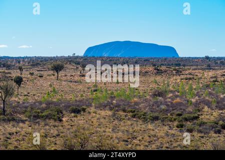 Vu depuis la zone d'observation du lever du soleil de Kata Tjuta (les Olgas) avant l'aube, Uluru apparaît bleu à travers la brume matinale dans le territoire du Nord, en Australie Banque D'Images